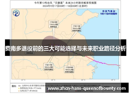 费南多退役前的三大可能选择与未来职业路径分析