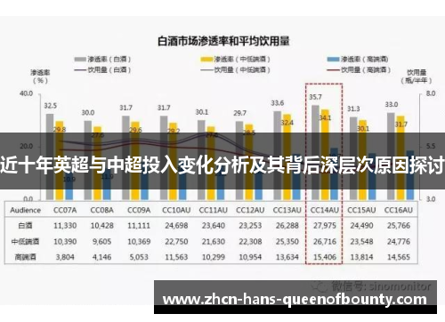近十年英超与中超投入变化分析及其背后深层次原因探讨