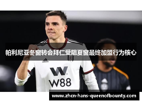 帕利尼亚冬窗转会拜仁受阻夏窗最终加盟行为核心