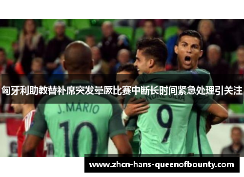 匈牙利助教替补席突发晕厥比赛中断长时间紧急处理引关注 匈牙利助教替补席突发晕厥比赛中断长时间紧急处理引关注